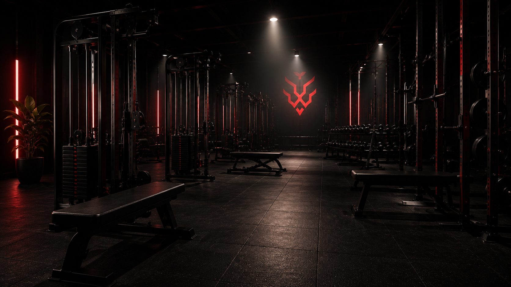 Open Gym — APER
